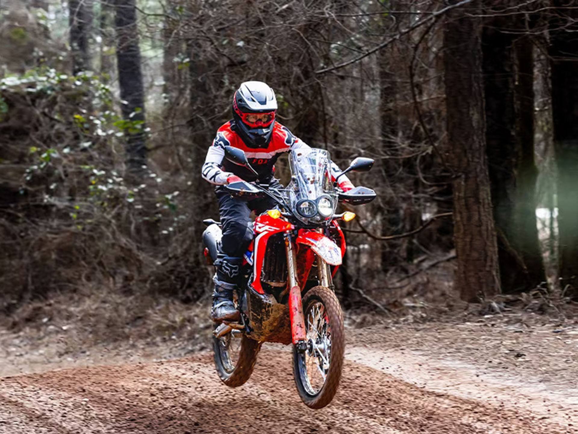2023 Honda CRF300L Rally ABS 4