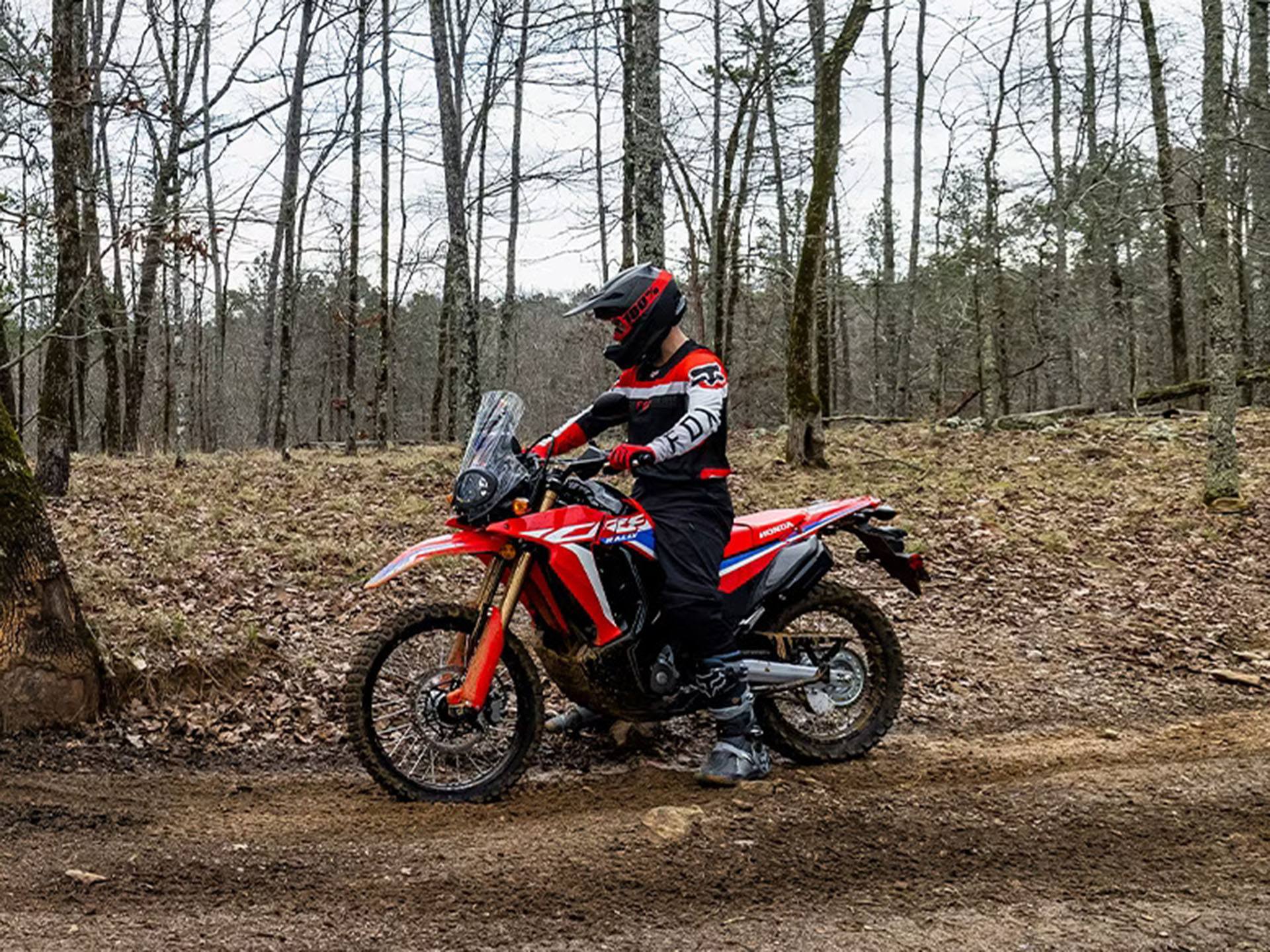 2023 Honda CRF300L Rally ABS 6