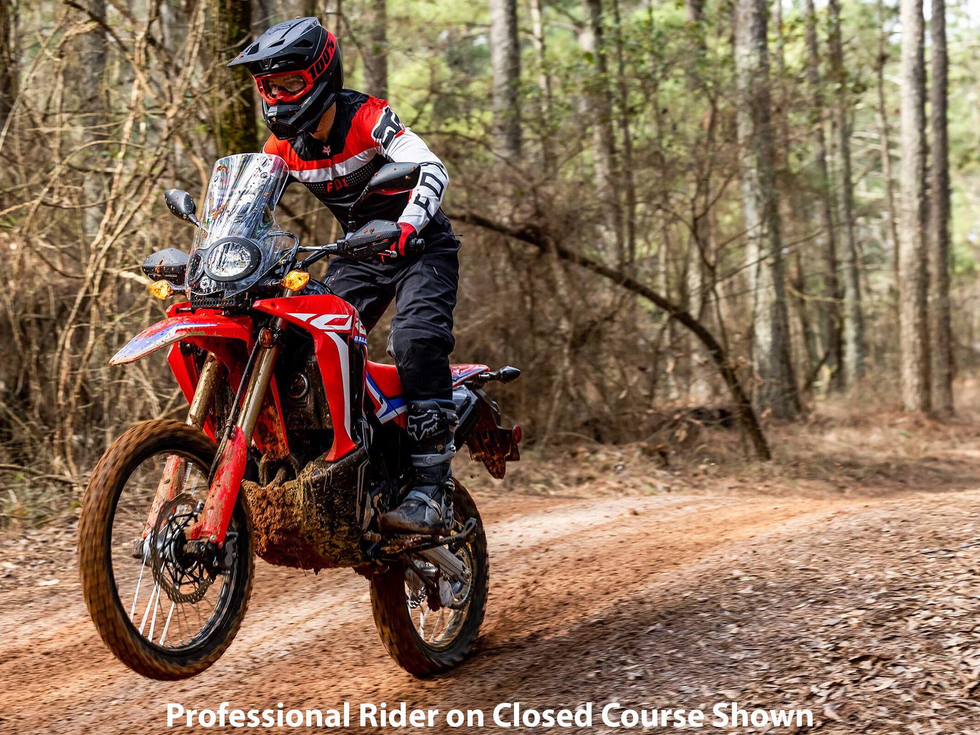 2023 Honda CRF300L Rally ABS 7