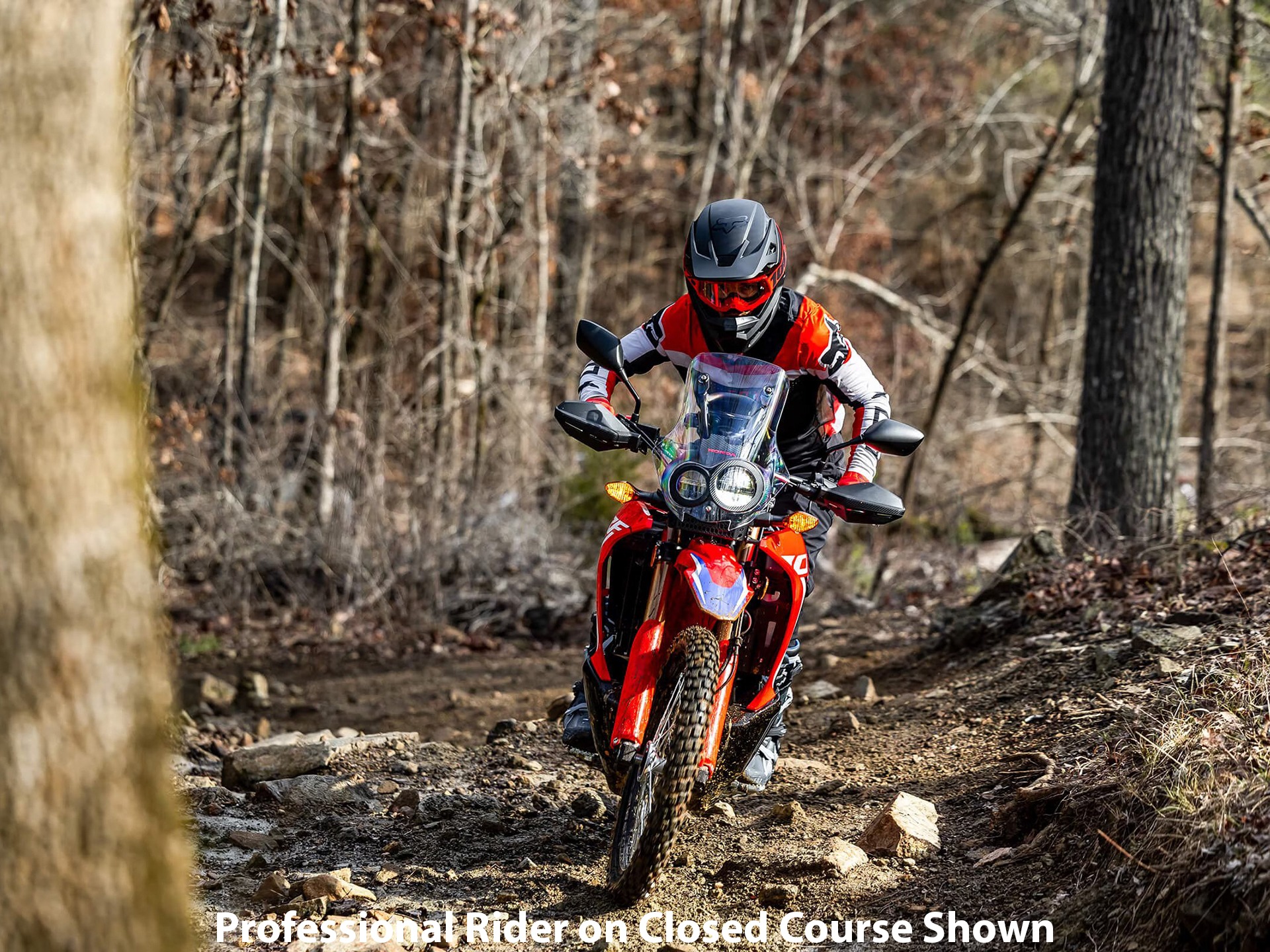 2023 Honda CRF300L Rally ABS 8