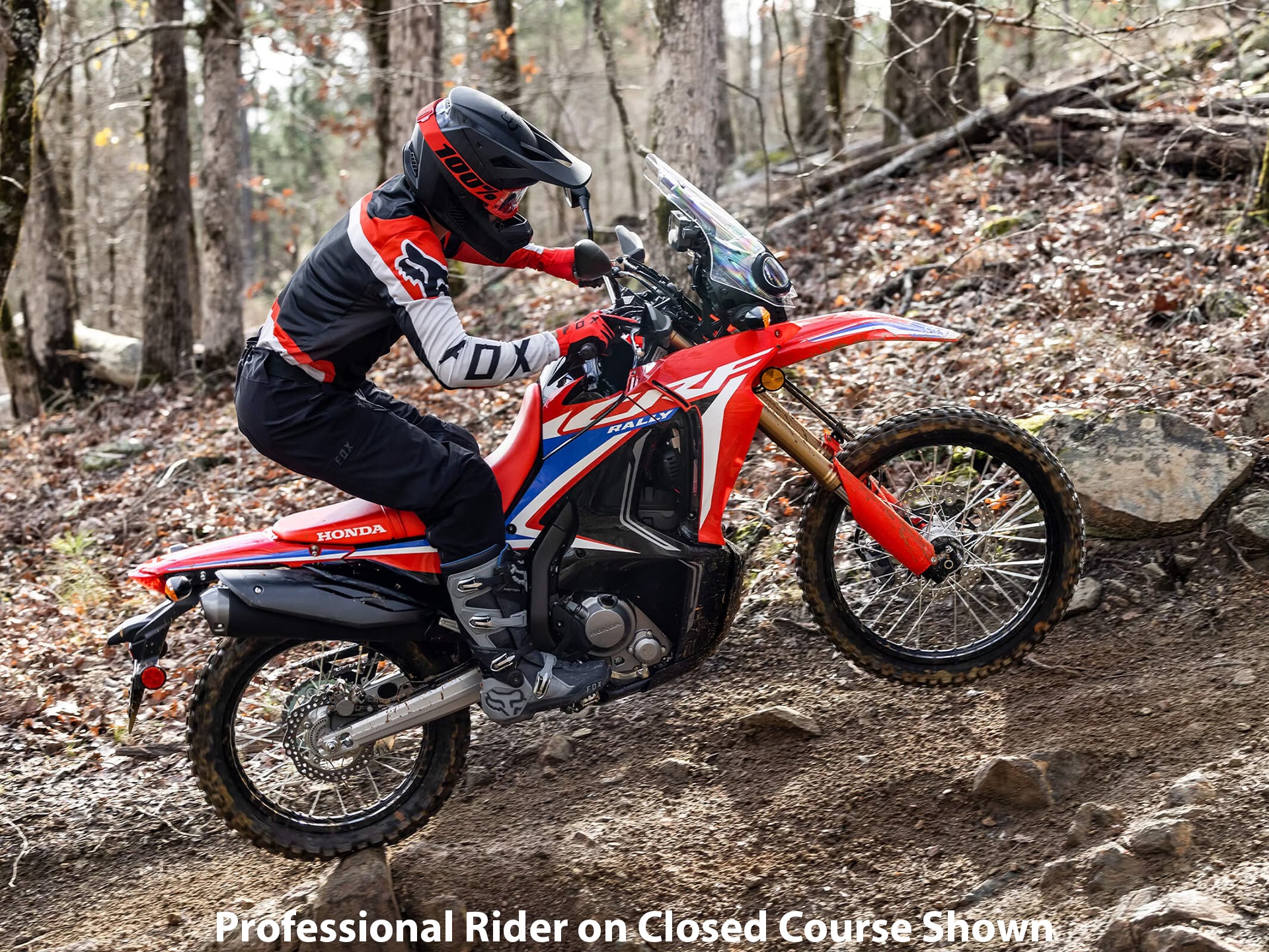 2023 Honda CRF300L Rally ABS 9