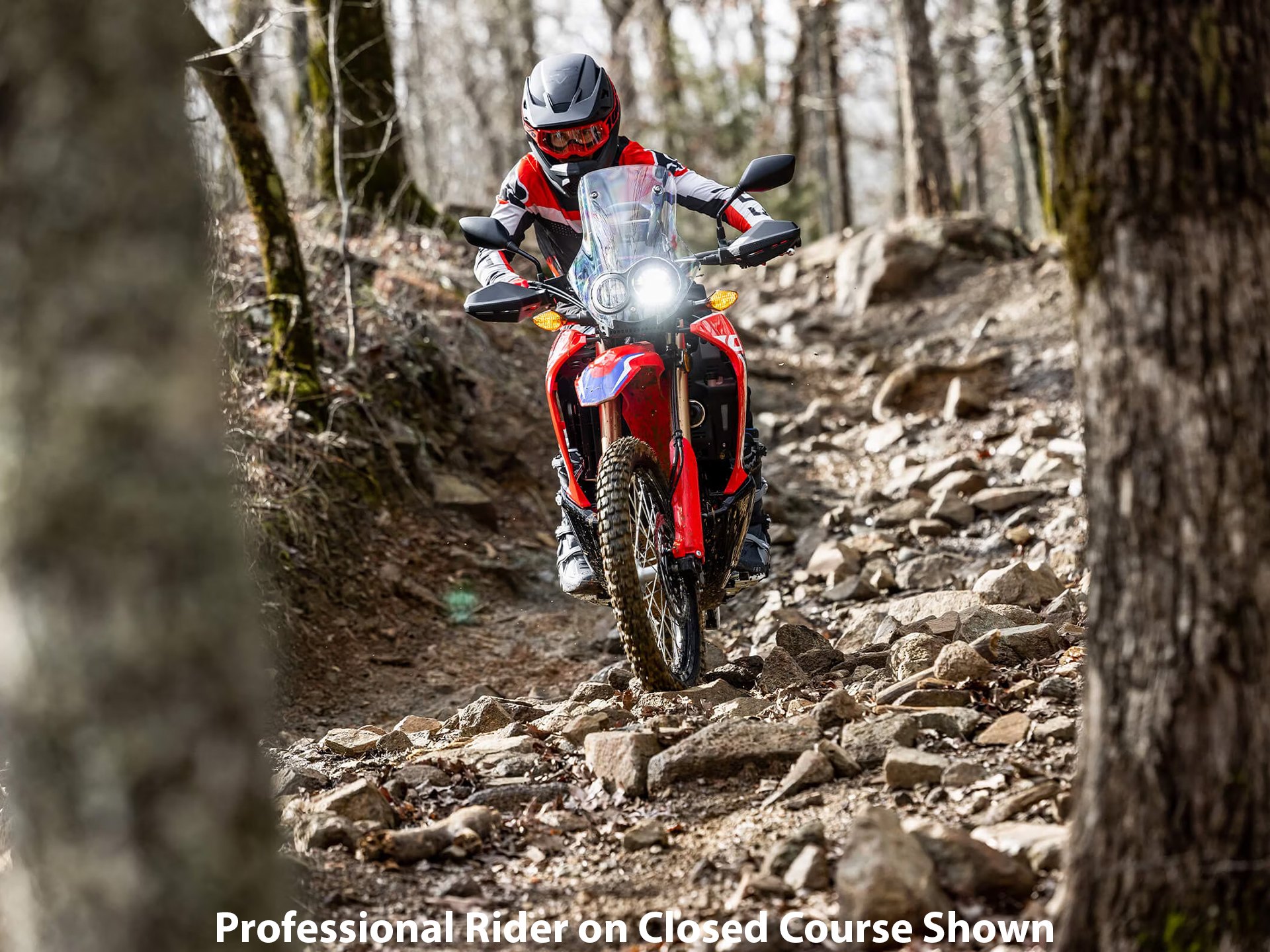 2023 Honda CRF300L Rally ABS 10