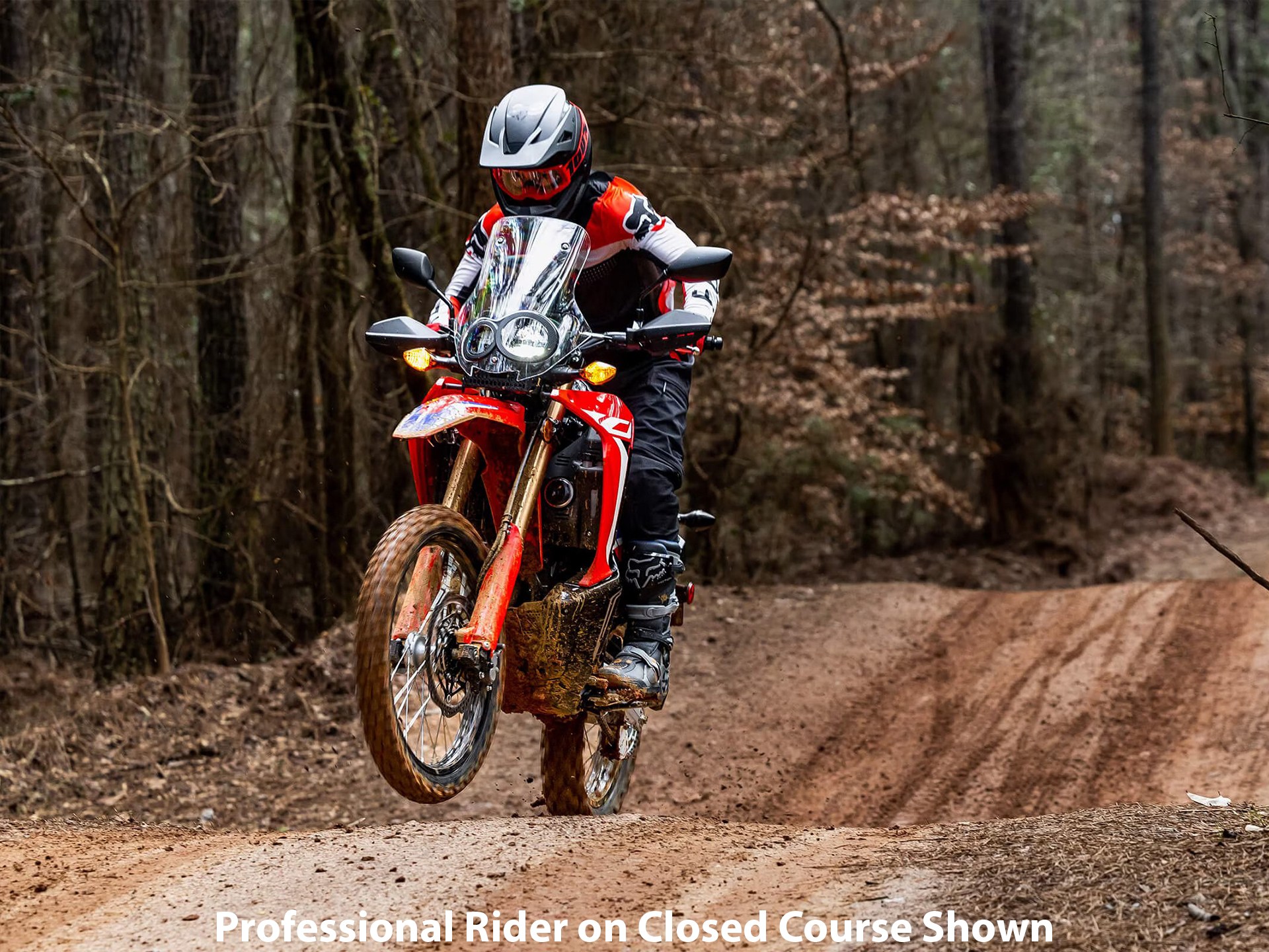 2023 Honda CRF300L Rally ABS 11