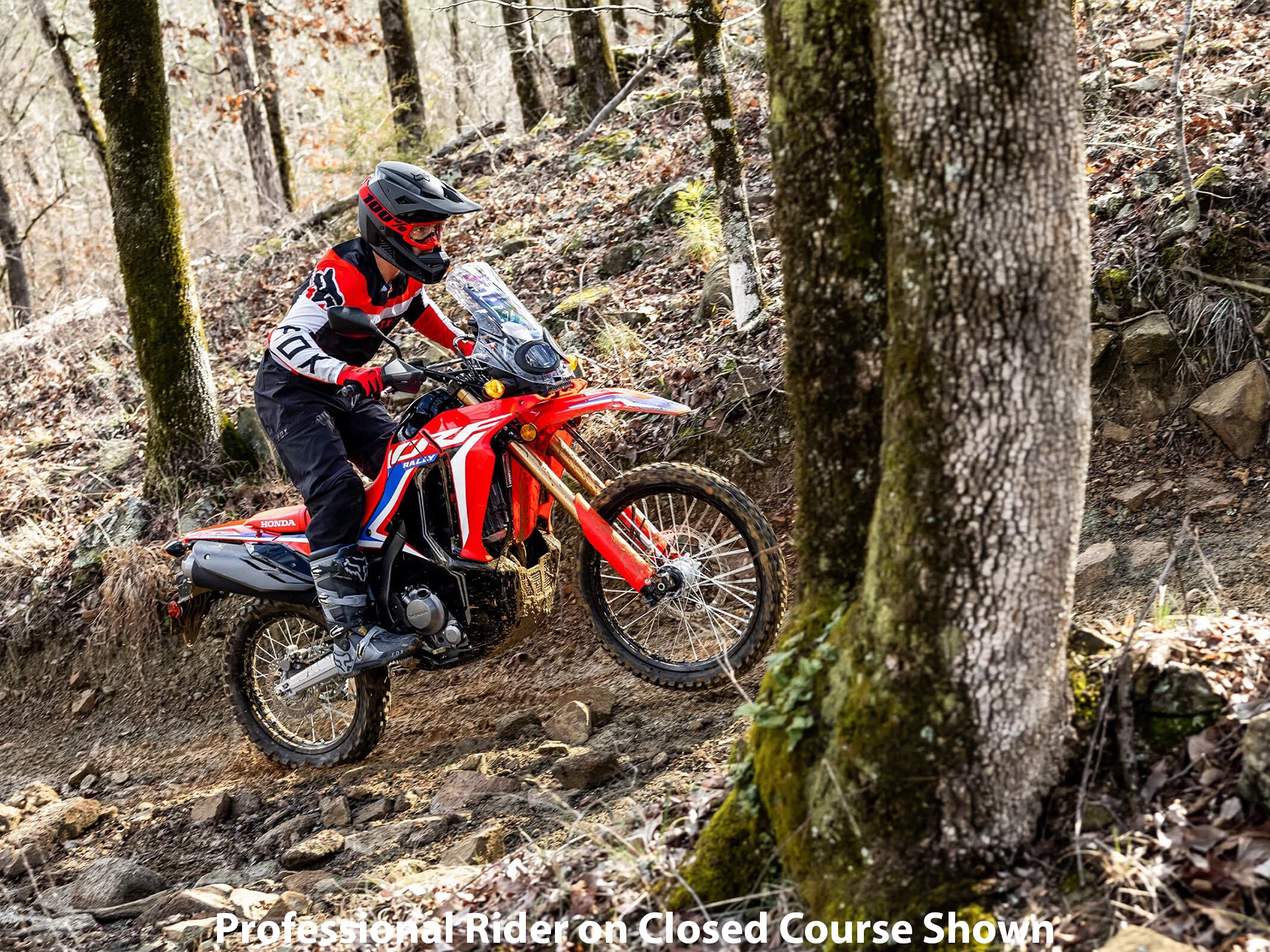 2023 Honda CRF300L Rally ABS 12
