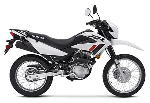 2023 Honda XR150L in Mentor, Ohio - Photo 1