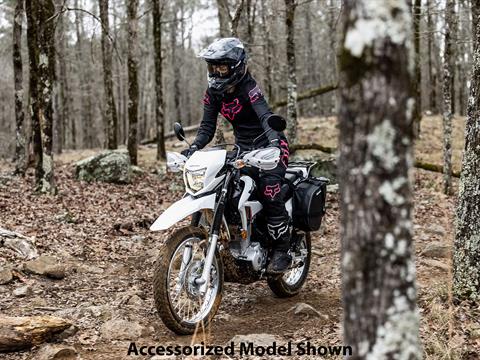 2023 Honda XR150L in Mentor, Ohio - Photo 8