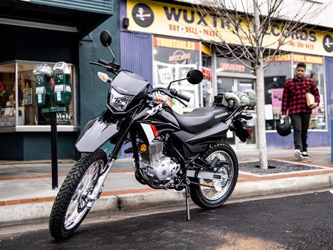 2023 Honda XR150L in Mentor, Ohio - Photo 9