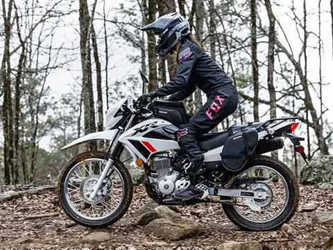 2023 Honda XR150L in Mentor, Ohio - Photo 11