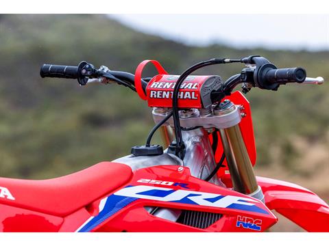 2023 Honda CRF250R in Long Island City, New York - Photo 3