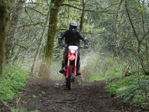 2023 Honda CRF450X in West Bridgewater, Massachusetts - Photo 5