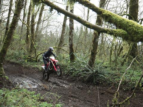 2023 Honda CRF450X in West Bridgewater, Massachusetts - Photo 6
