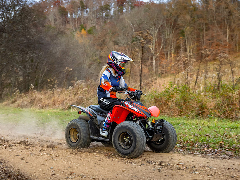 2024 Honda TRX90X in The Dalles, Oregon - Photo 6