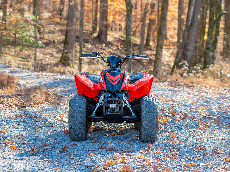 2024 Honda TRX90X in The Dalles, Oregon - Photo 8