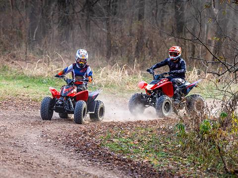 2024 Honda TRX90X in Eugene, Oregon - Photo 10