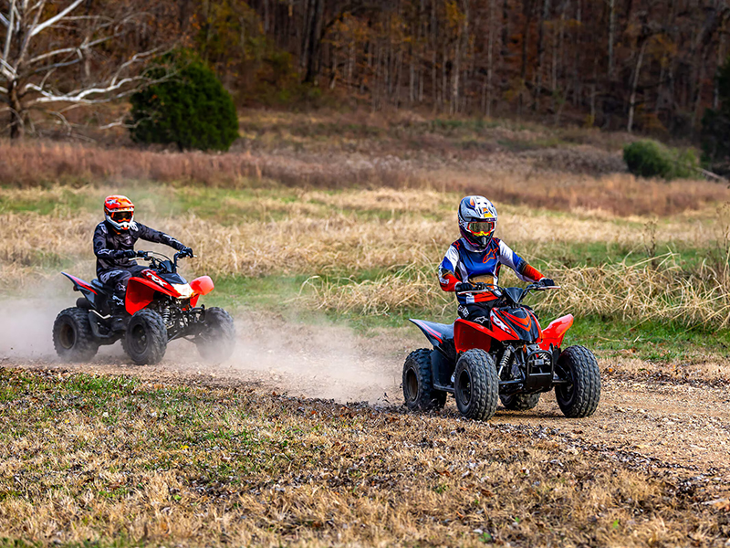 2024 Honda TRX90X in The Dalles, Oregon - Photo 11