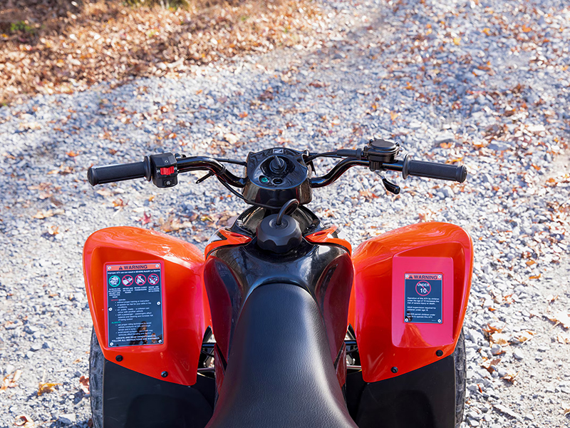 2024 Honda TRX90X in Long Island City, New York - Photo 2