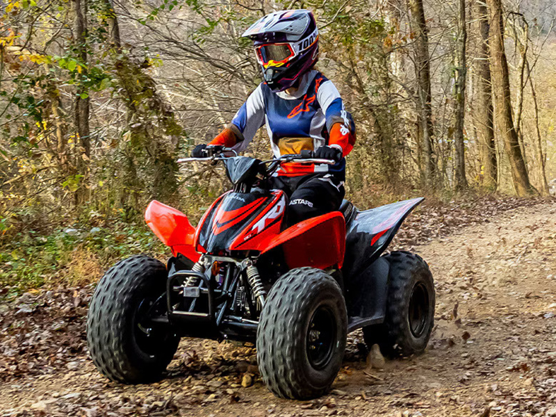 2024 Honda TRX90X in Long Island City, New York - Photo 13