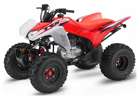 2024 Honda TRX250X in North Little Rock, Arkansas