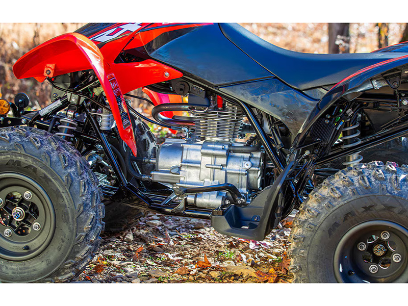 2024 Honda TRX250X in West Bridgewater, Massachusetts - Photo 2