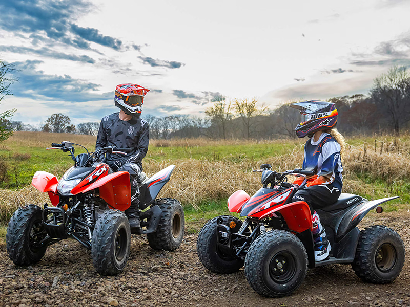 2024 Honda TRX250X in West Bridgewater, Massachusetts - Photo 6