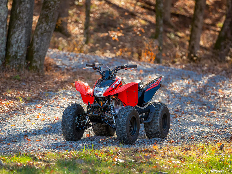 2024 Honda TRX250X in West Bridgewater, Massachusetts - Photo 7