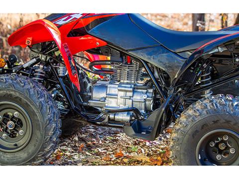 2024 Honda TRX250X in Wichita, Kansas - Photo 2