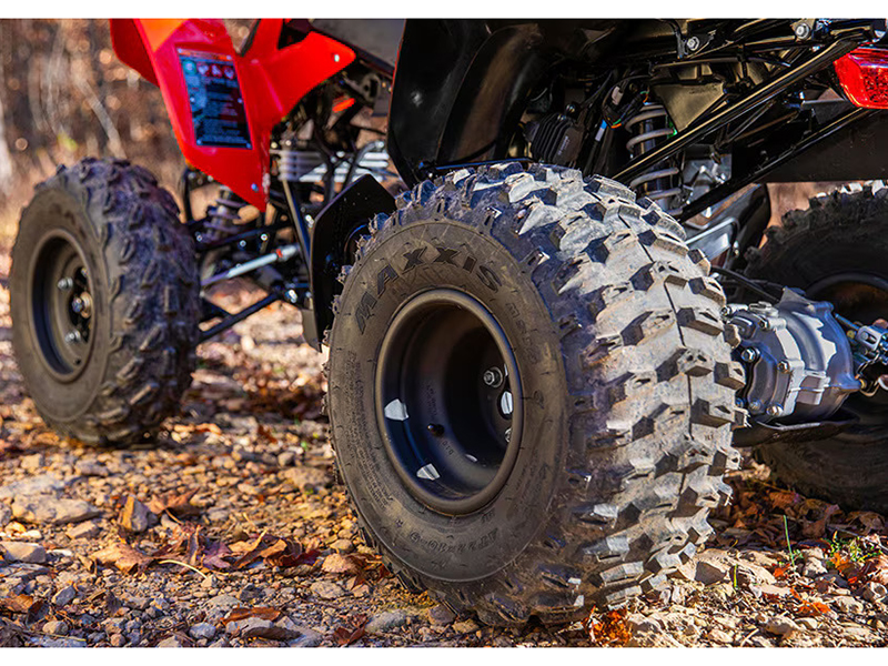 2024 Honda TRX250X in Wichita, Kansas - Photo 5