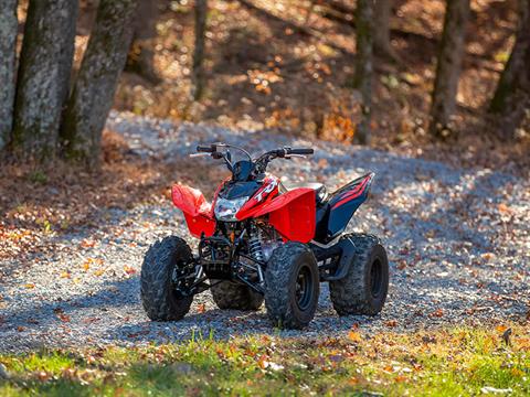 2024 Honda TRX250X in Wichita, Kansas - Photo 7