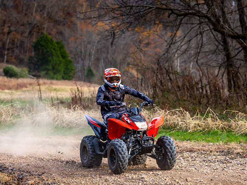 2024 Honda TRX250X in Wichita, Kansas - Photo 8