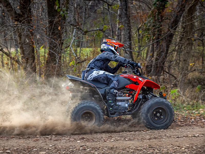 2024 Honda TRX250X in Wichita, Kansas - Photo 9