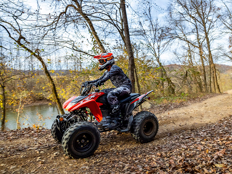 2024 Honda TRX250X in Wichita, Kansas - Photo 10