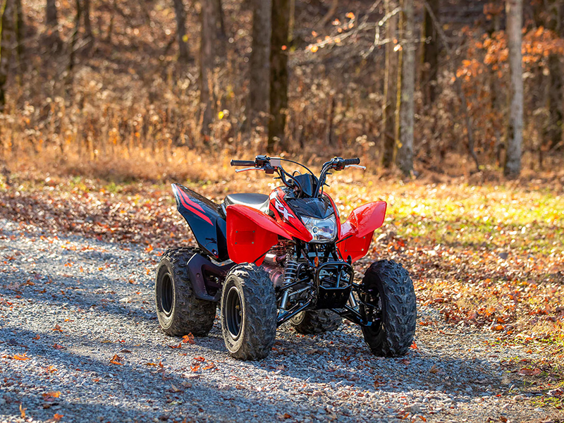 2024 Honda TRX250X in Wichita, Kansas - Photo 11