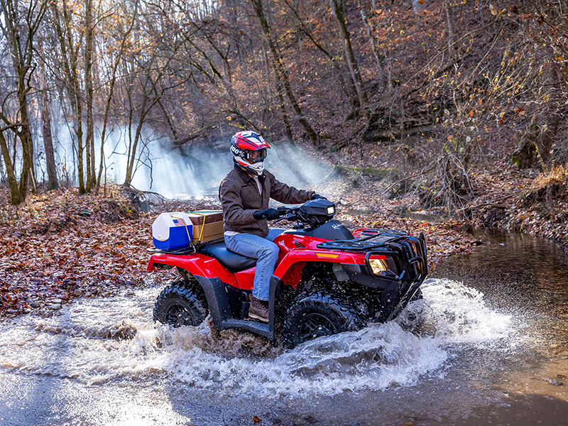 2024 Honda FourTrax Rubicon 4x4 Automatic in West Bridgewater, Massachusetts - Photo 12