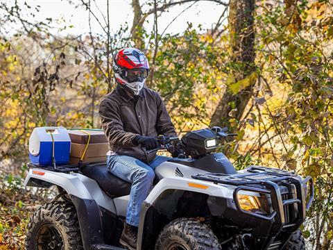 2024 Honda FourTrax Rubicon 4x4 Automatic in Long Island City, New York - Photo 17