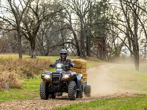 2024 Honda FourTrax Rubicon 4x4 Automatic in Long Island City, New York - Photo 18