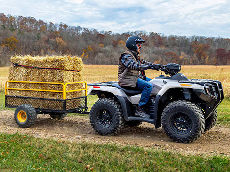 2024 Honda FourTrax Rubicon 4x4 Automatic in Long Island City, New York - Photo 19
