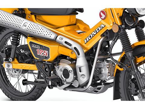 New 2024 Honda Trail125 Motorcycles in Rexburg ID Turmeric Yellow
