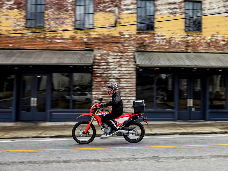 2024 Honda CRF300L in The Dalles, Oregon - Photo 7