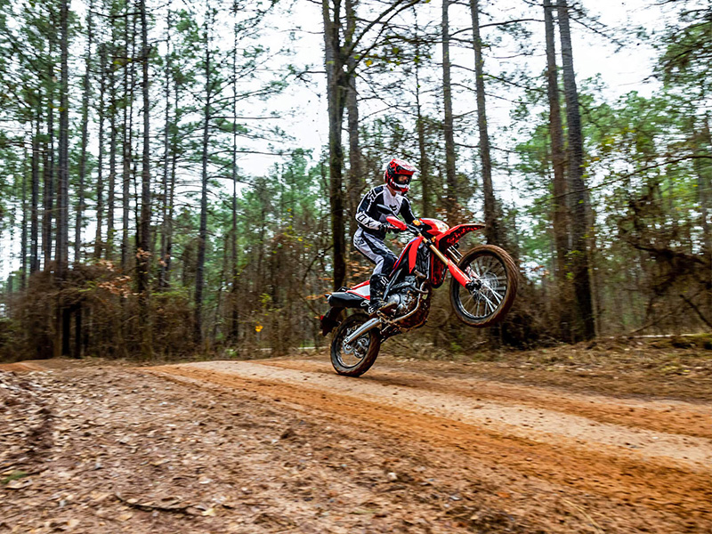 2024 Honda CRF300L in The Dalles, Oregon - Photo 8