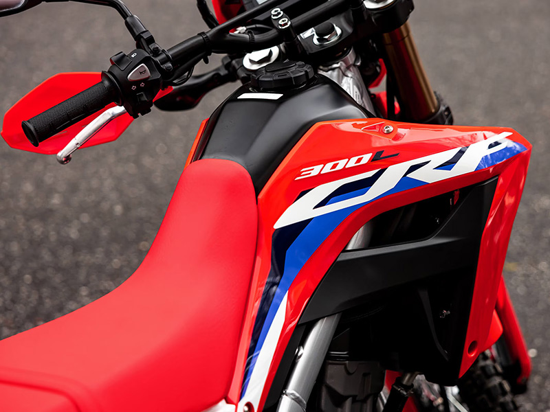 2024 Honda CRF300L ABS in Long Island City, New York - Photo 2