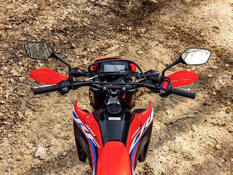 2024 Honda CRF300L ABS in Long Island City, New York - Photo 3