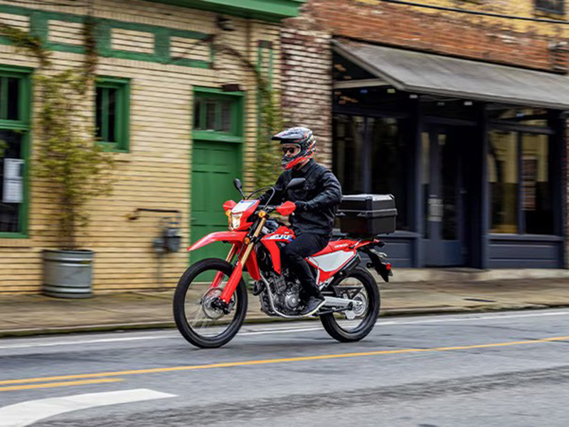 2024 Honda CRF300L ABS in Long Island City, New York - Photo 6