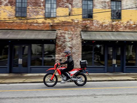 2024 Honda CRF300L ABS in Long Island City, New York - Photo 7