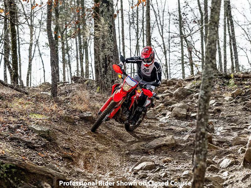 2024 Honda CRF300L ABS in Long Island City, New York - Photo 10