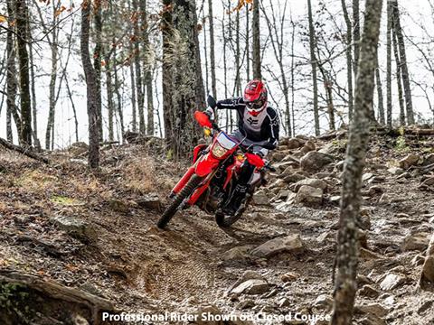 2024 Honda CRF300L ABS in Long Island City, New York - Photo 10