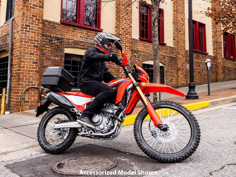 2024 Honda CRF300L ABS in Long Island City, New York - Photo 11