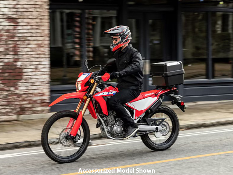 2024 Honda CRF300L ABS in Long Island City, New York - Photo 12
