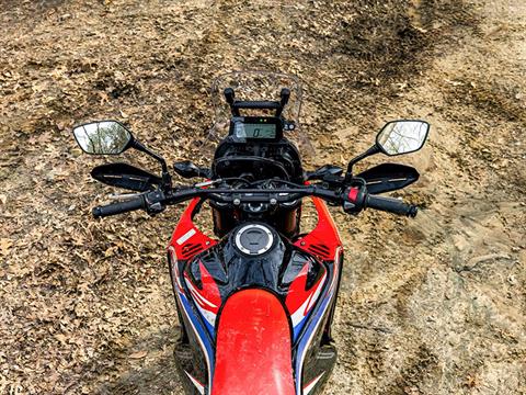 2024 Honda CRF300L Rally ABS in Mentor, Ohio - Photo 3