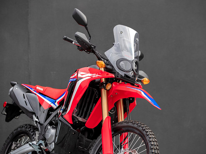 2024 Honda CRF300L Rally ABS in Mentor, Ohio - Photo 4