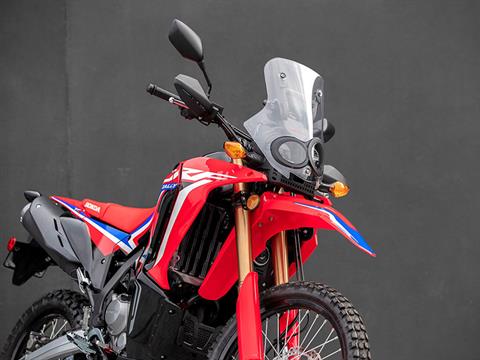 2024 Honda CRF300L Rally ABS in Mentor, Ohio - Photo 4